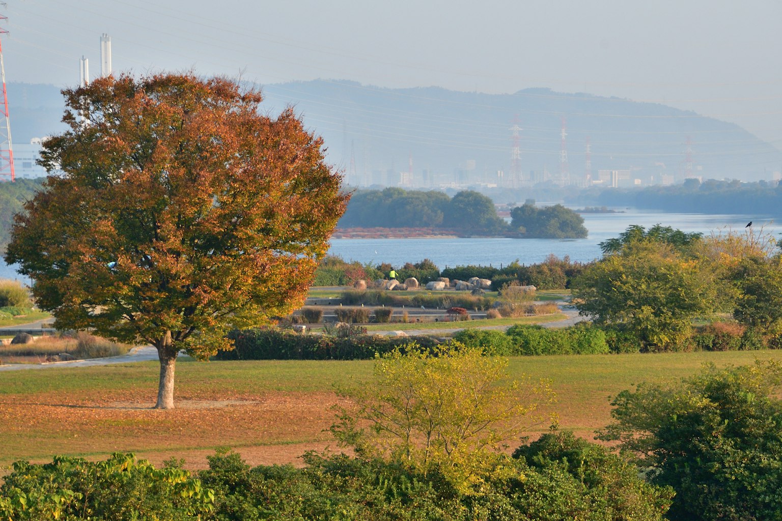 Schöne Herbstlandschaft mit einem großen Baum mit orangen Blättern und einem ruhigen Fluss