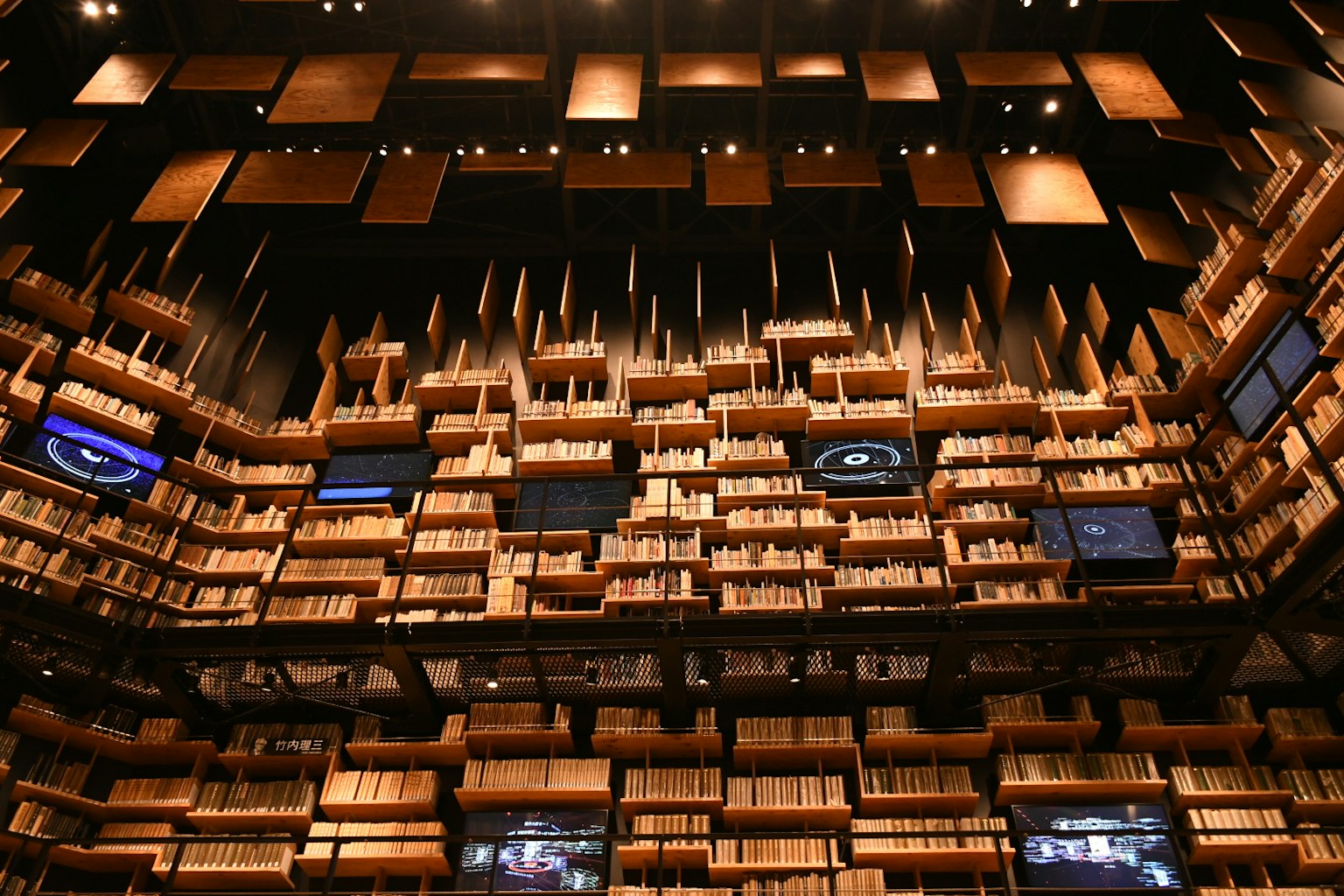 Interno di una biblioteca unica con libri disposti sulle pareti