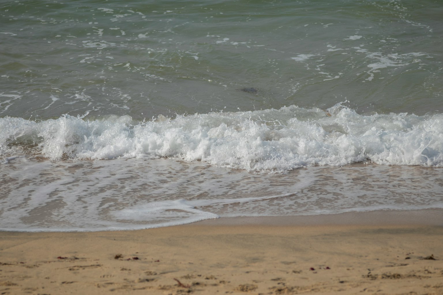 Onde che si infrangono su una spiaggia sabbiosa