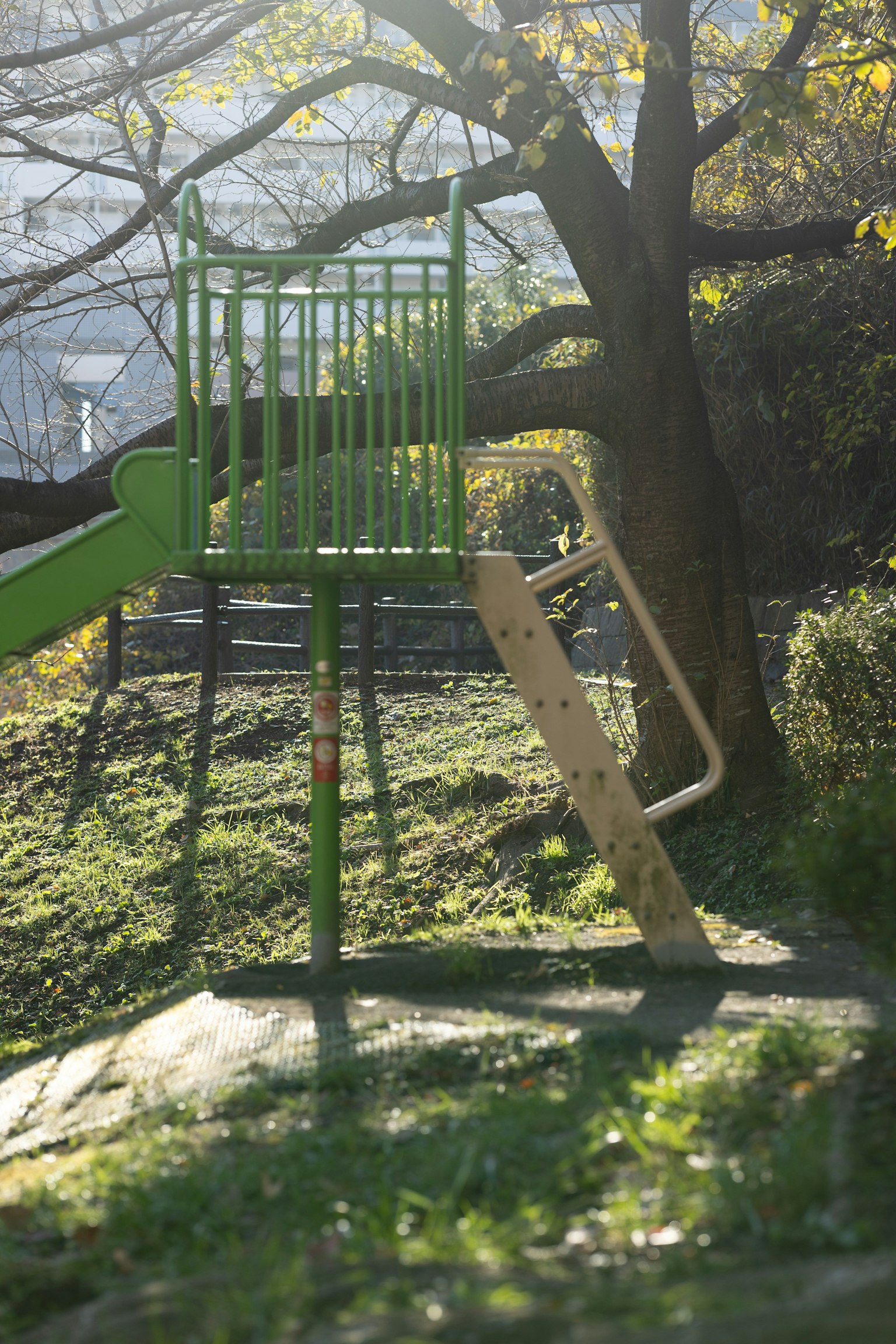 Scivolo verde del parco con un albero sullo sfondo