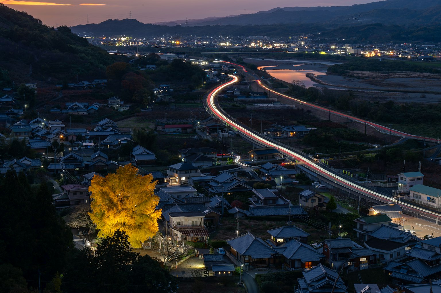 Cảnh quan thành phố lúc hoàng hôn với cây ngân hạnh phát sáng và đèn xe đang di chuyển