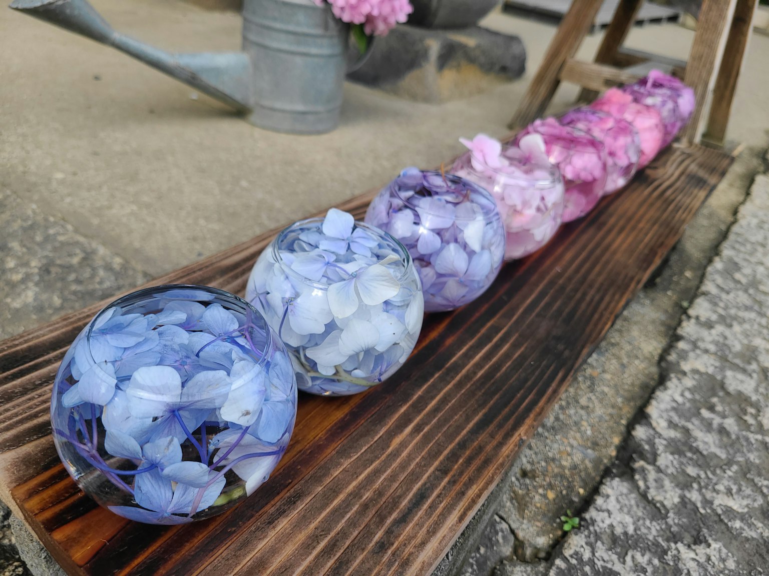 Cánh hoa nhiều màu được sắp xếp trong các hình cầu trong suốt trên bề mặt gỗ