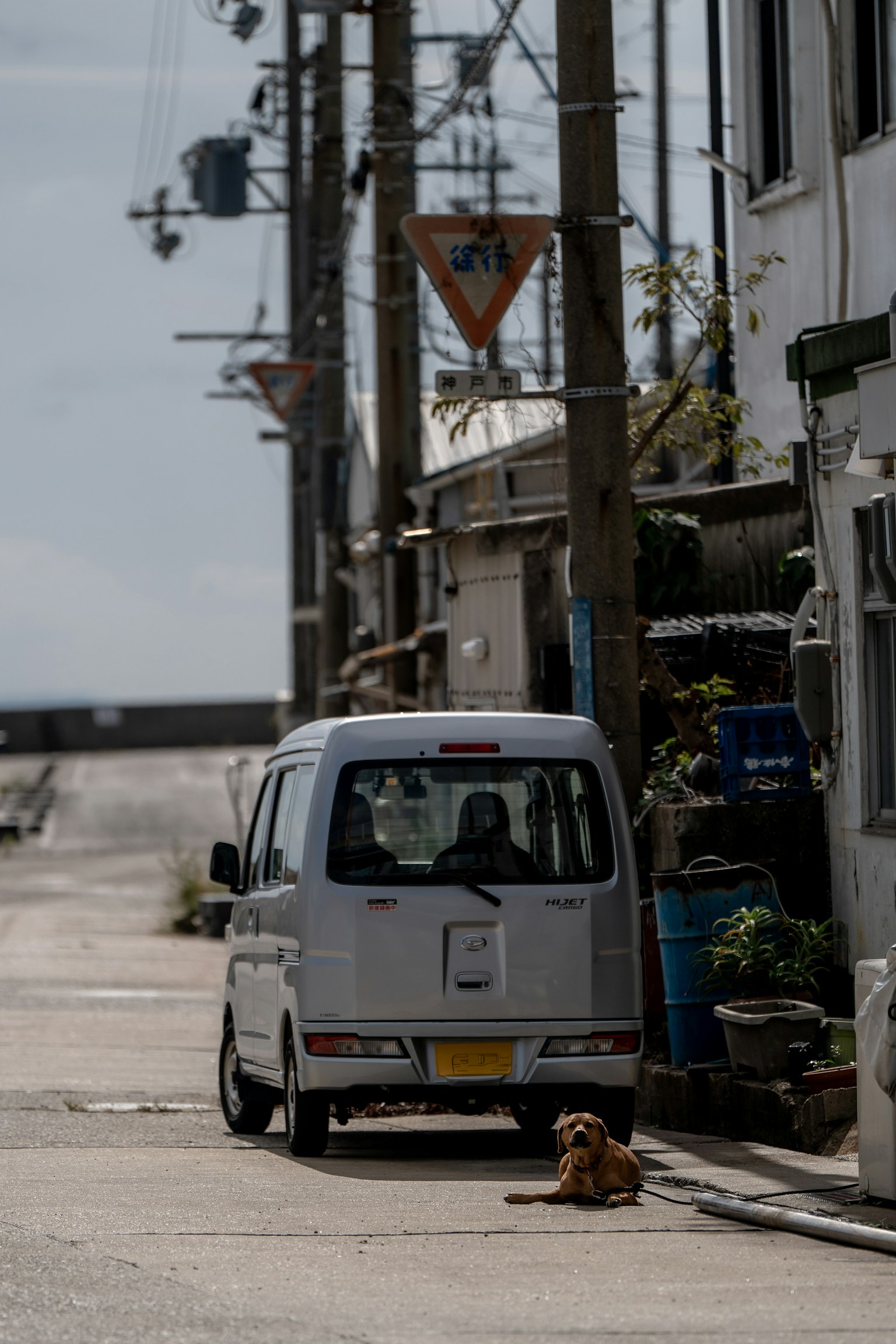 A white van parked on a narrow street with a dog lying in front