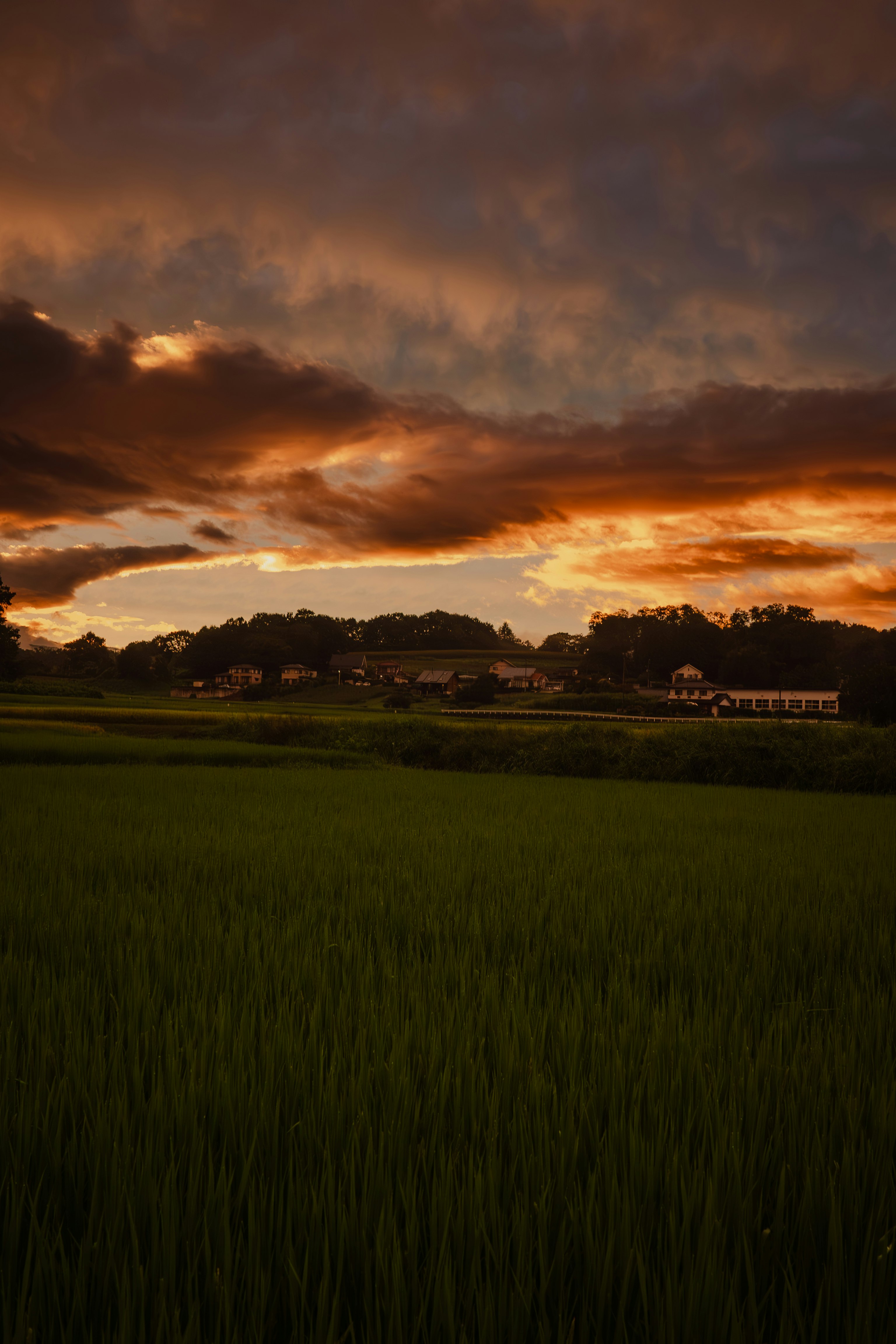 夕暮れの広がる田園風景と雲の空