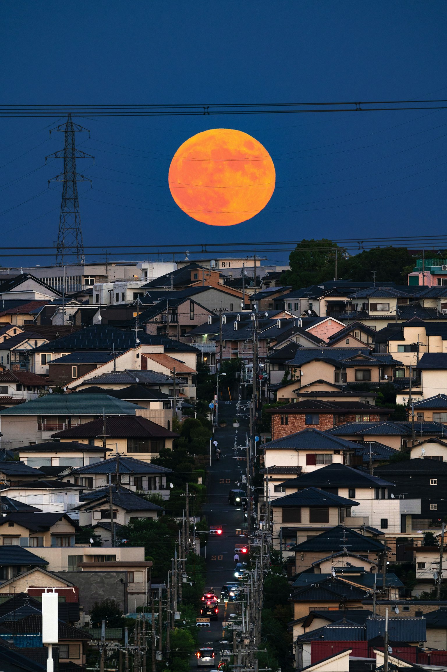 photo-tW4niwgsHvjbPjAg8hyV-image