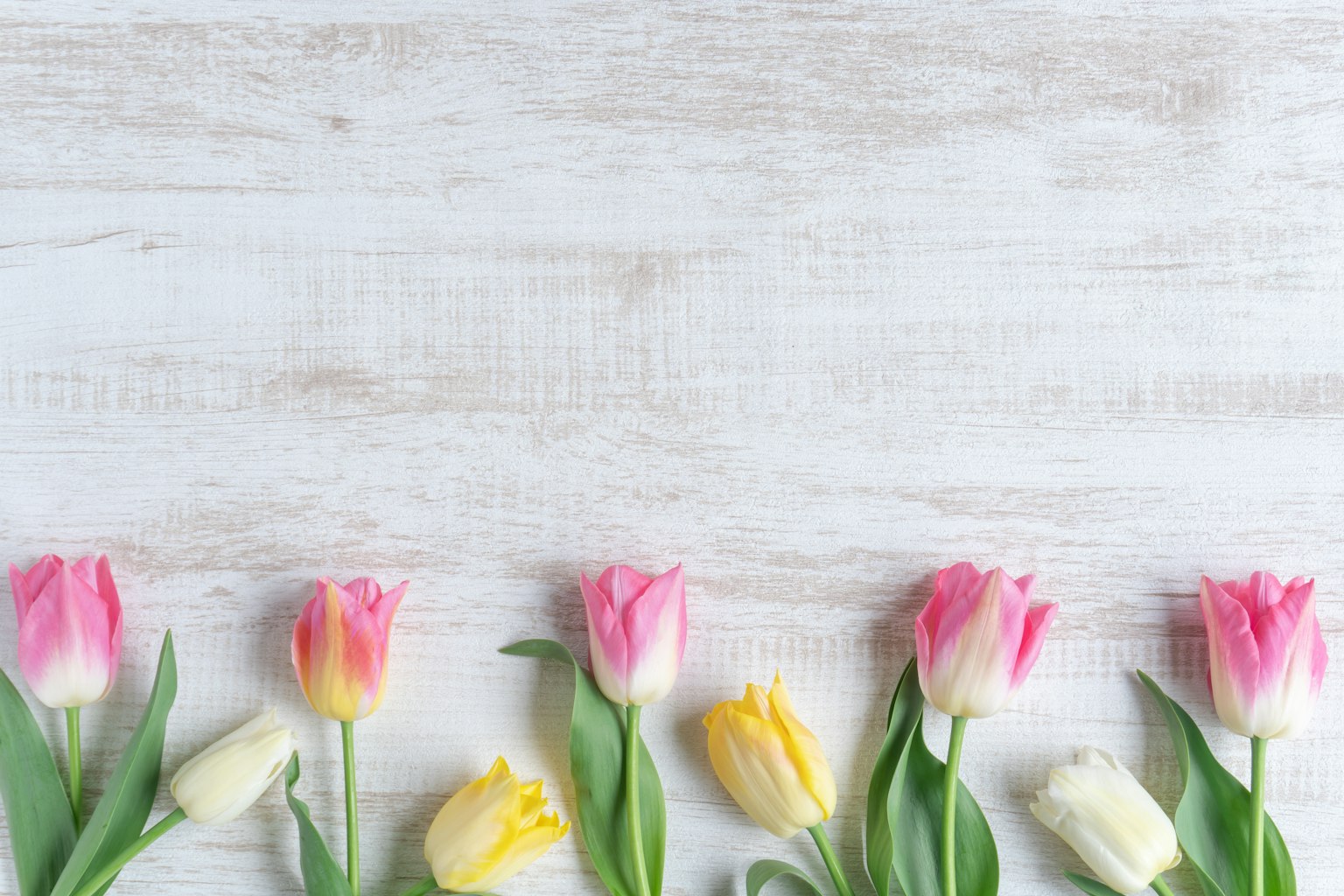 Tulipes roses et jaunes disposées sur une table en bois blanc
