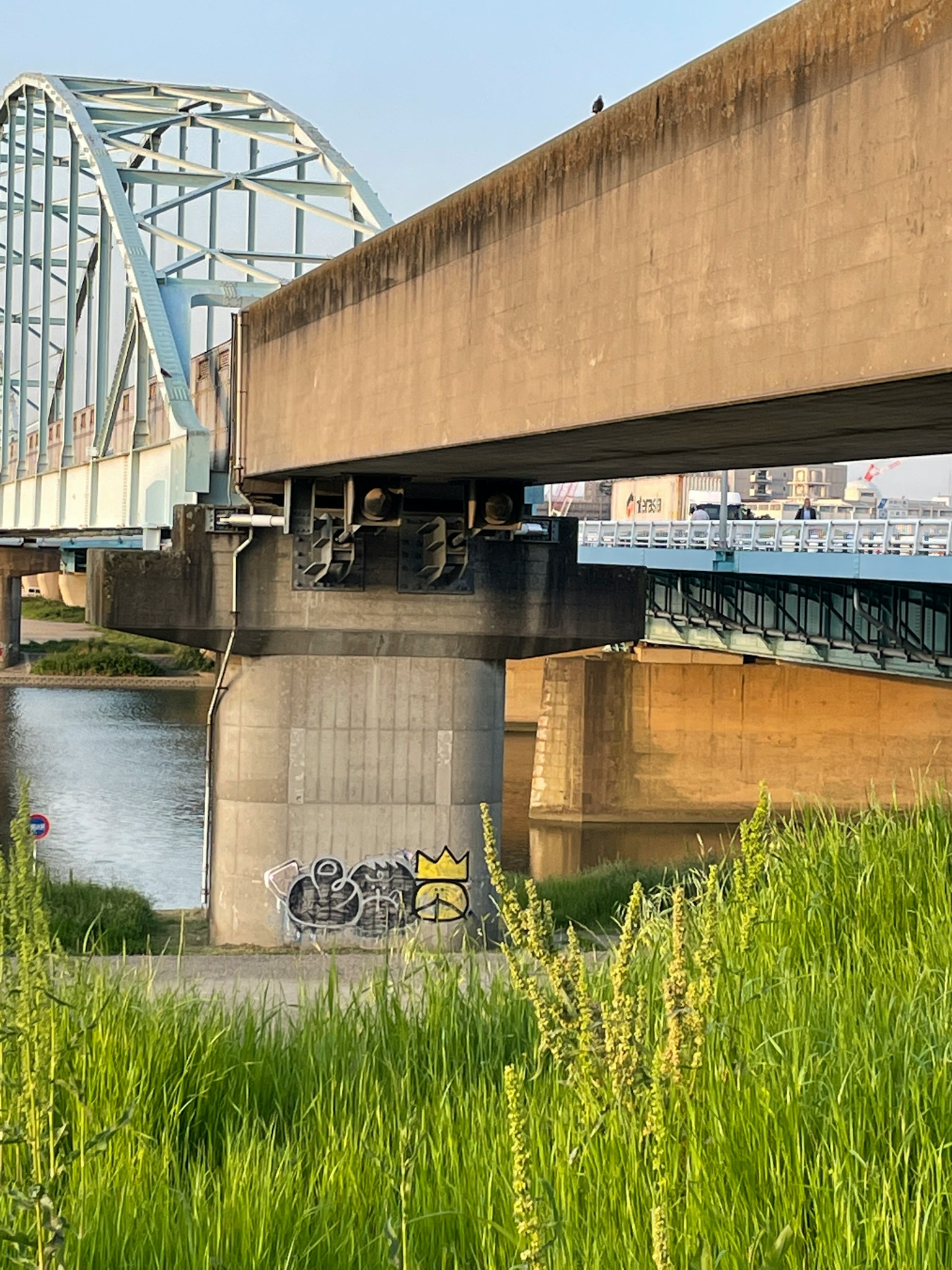 Vista di un ponte con un'arco su un fiume circondato da erba verde e supporti in cemento