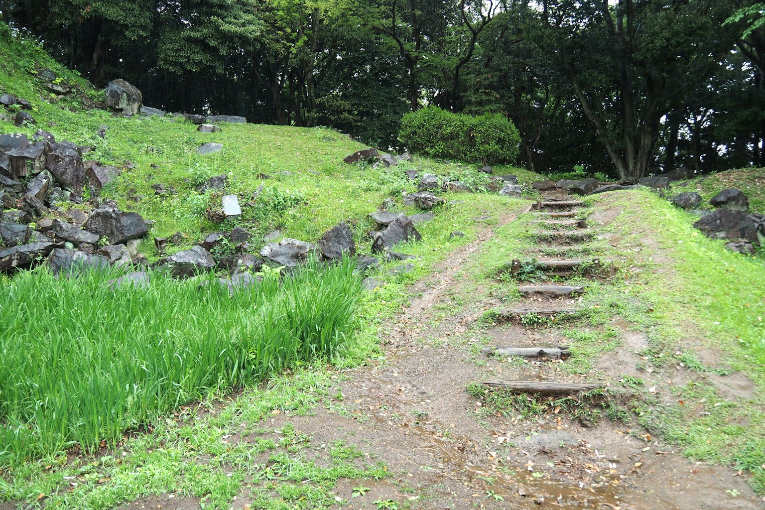 Paisaje con escaleras de piedra rodeadas de hierba verde y rocas