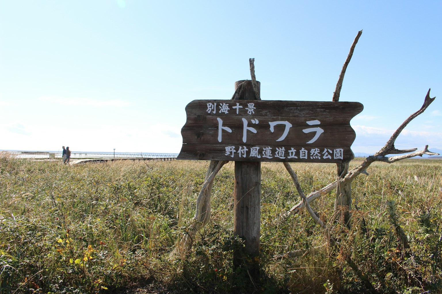 Un cartello per Todowara in un paesaggio con cielo blu e campo erboso
