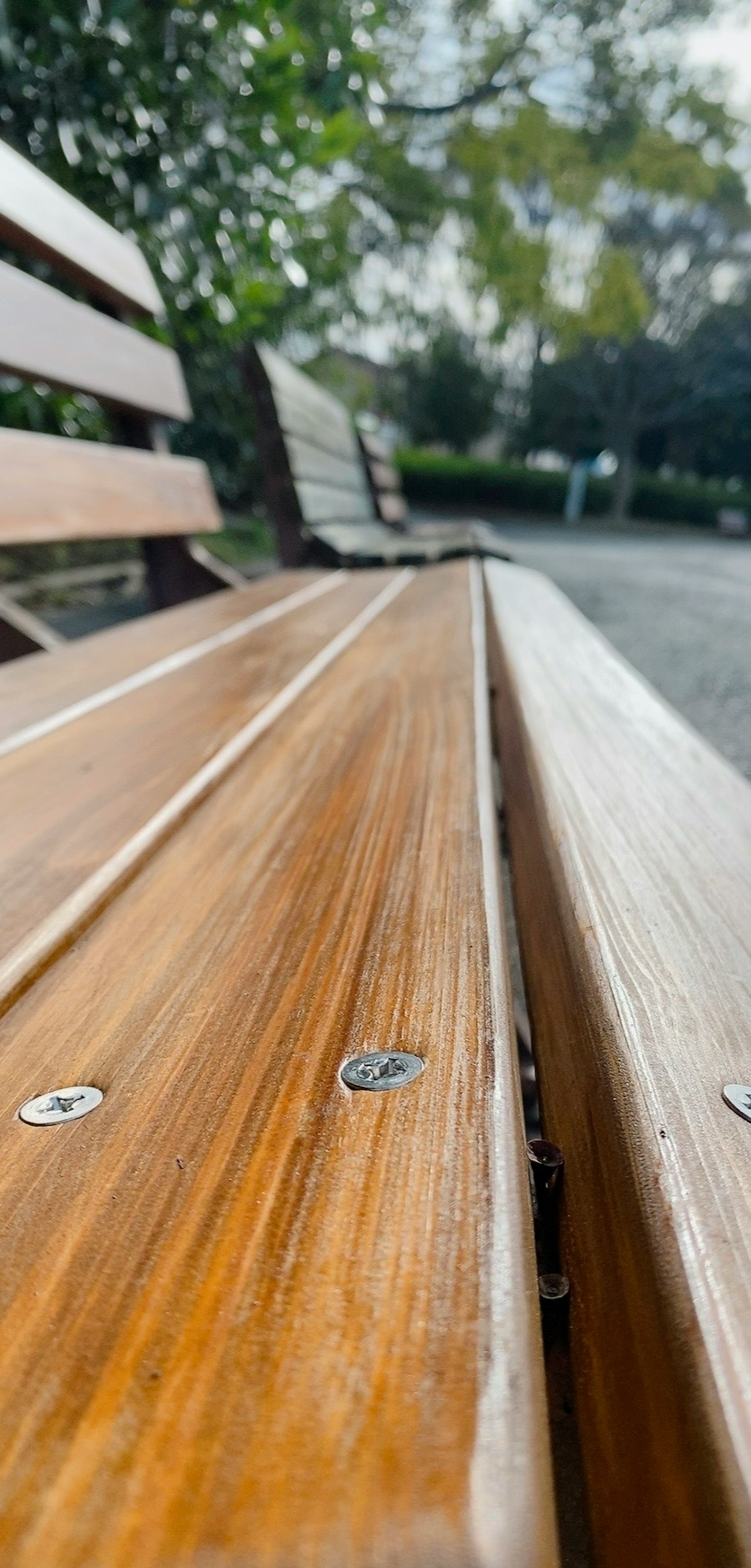Kedekatan permukaan kayu bangku taman