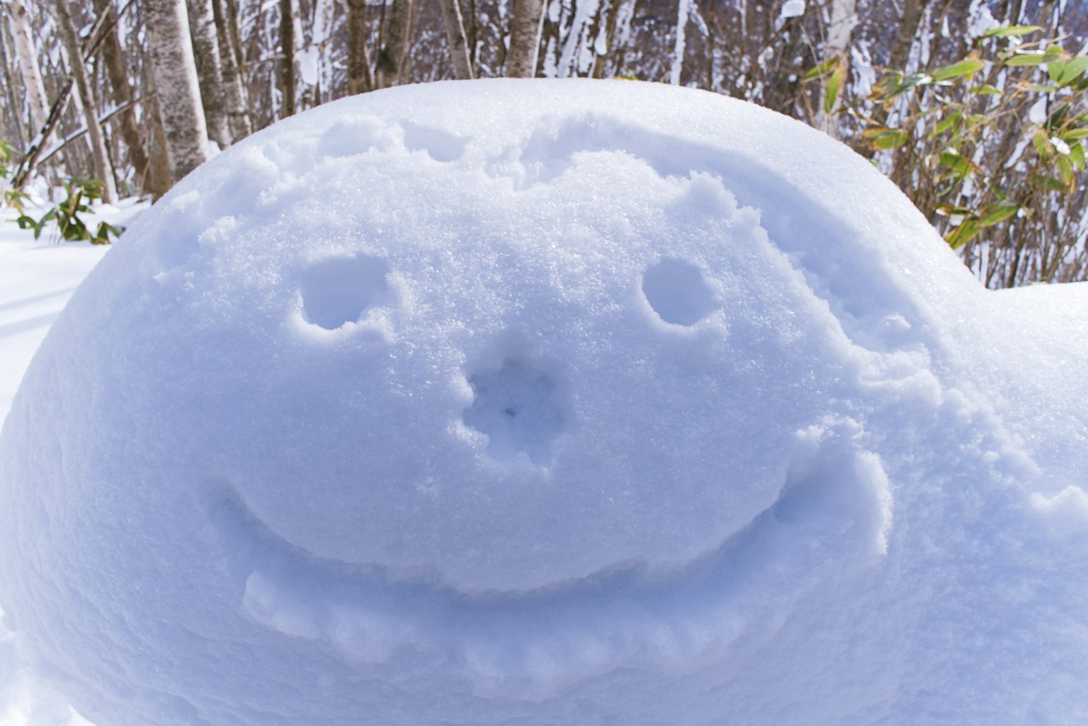 Snow sculpture with a smiling face