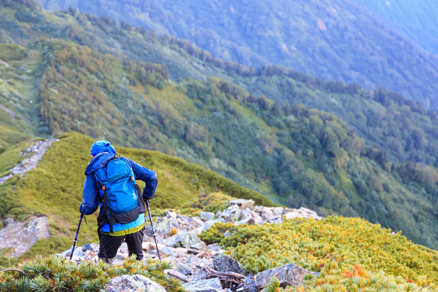 Pendaki dengan jaket biru berjalan di gunung hijau