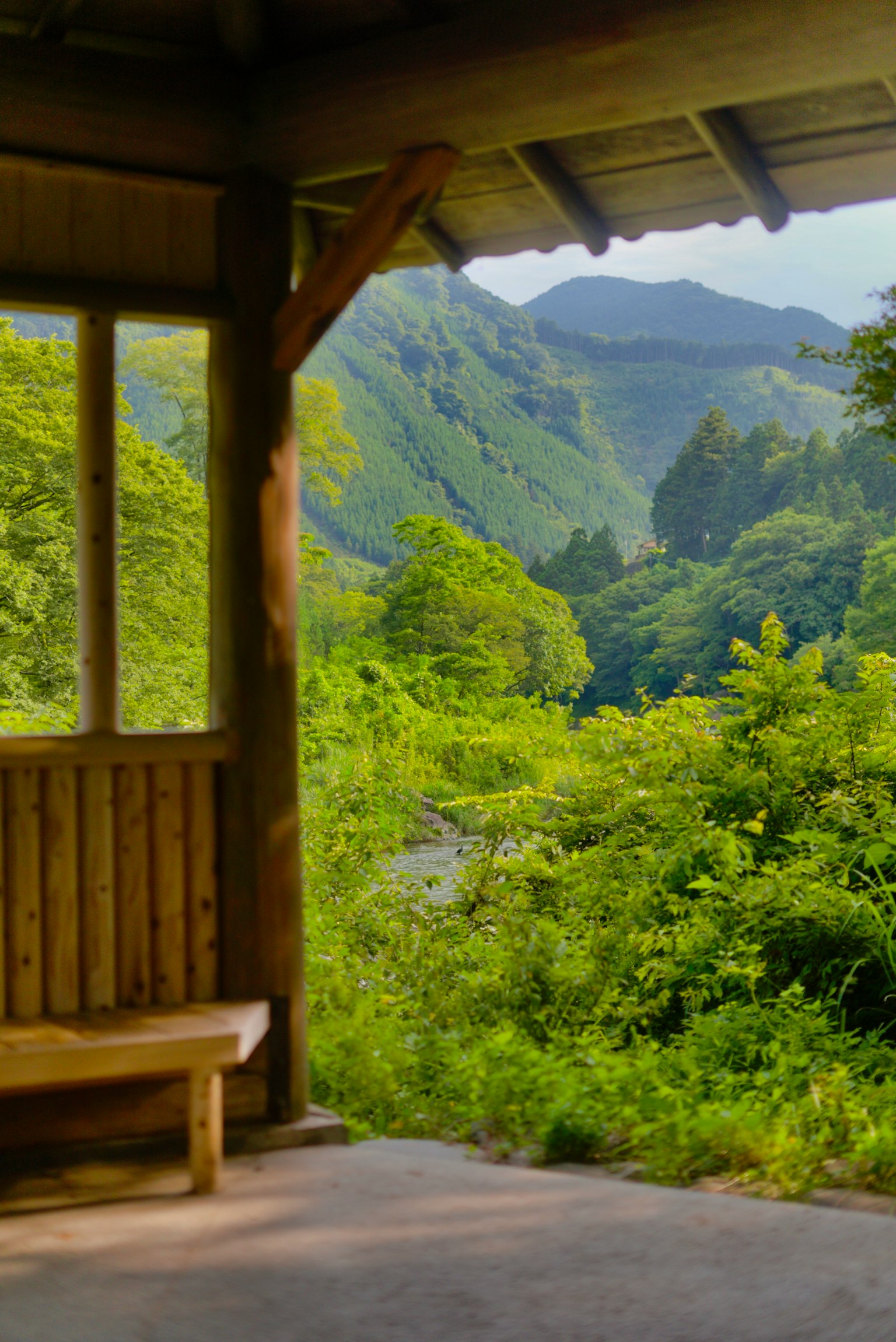 木屋内部，长椅俯瞰郁郁葱葱的山脉