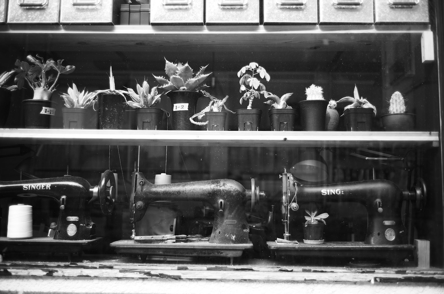 Mesin jahit vintage dengan tanaman pot yang dipajang