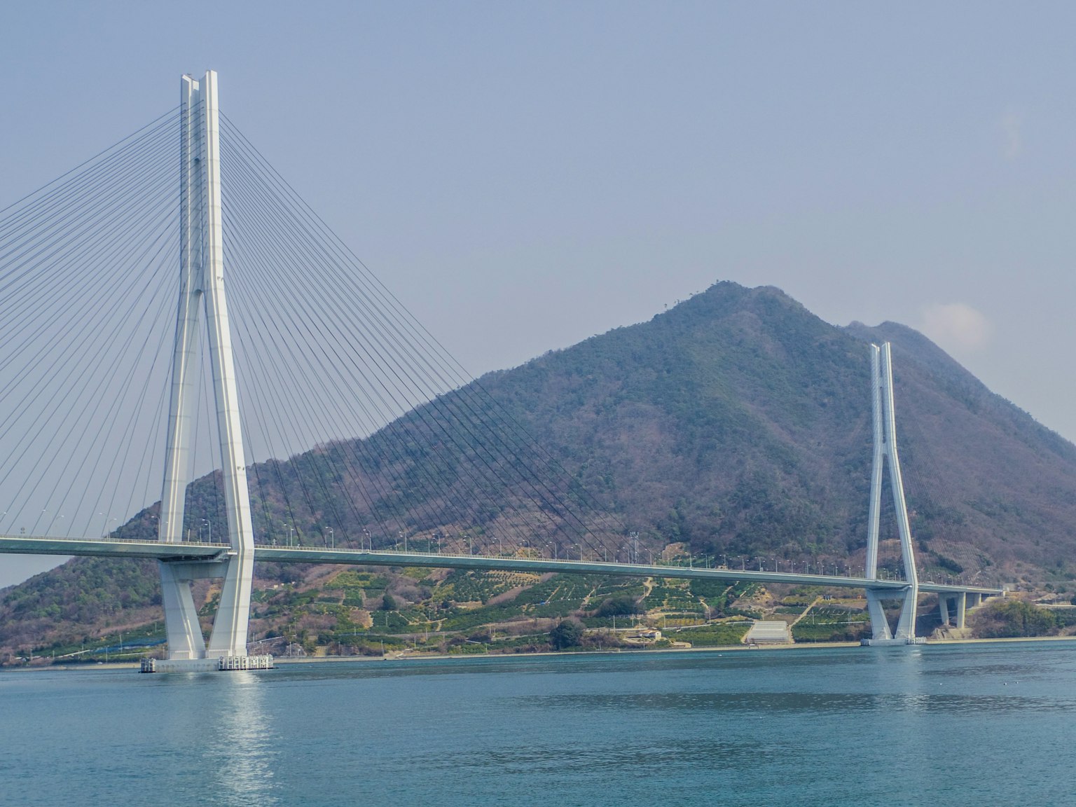一幅展示桥和山的风景画