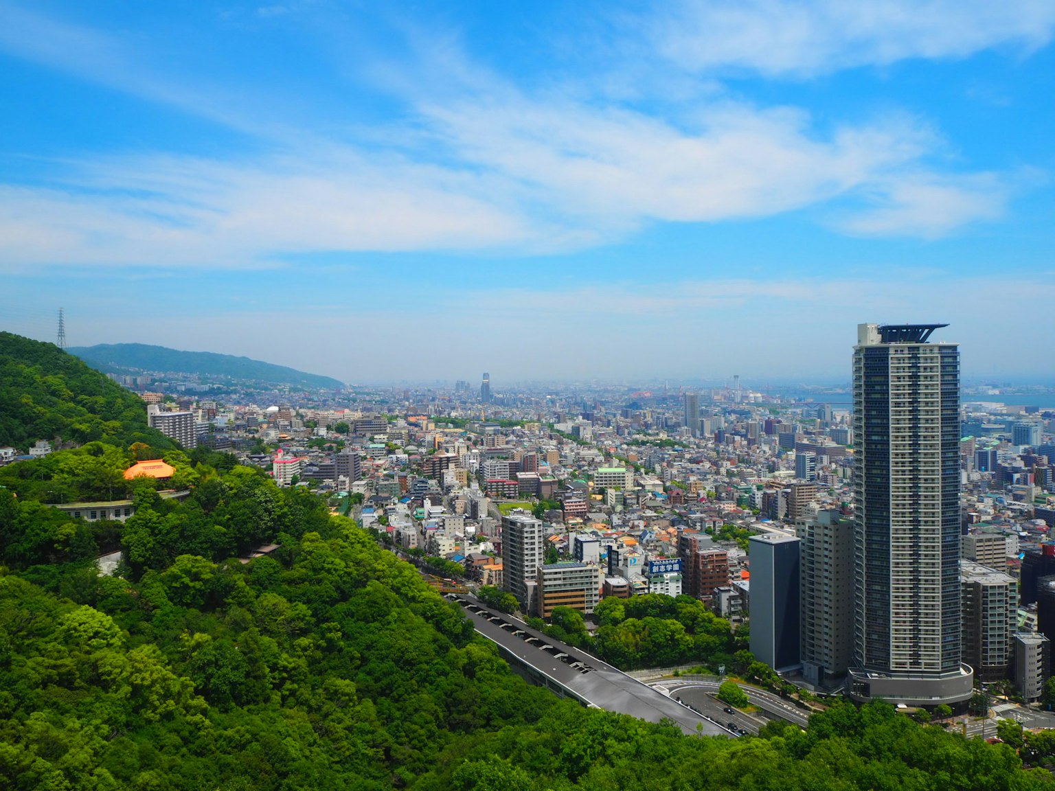 從綠色山坡俯瞰城市的全景，高樓大廈和藍天