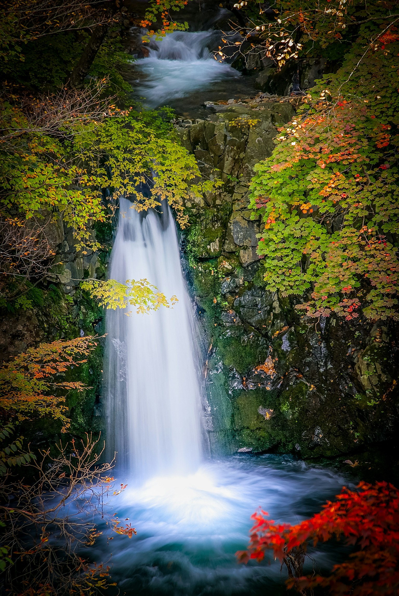 A beautiful waterfall surrounded by greenery and autumn leaves