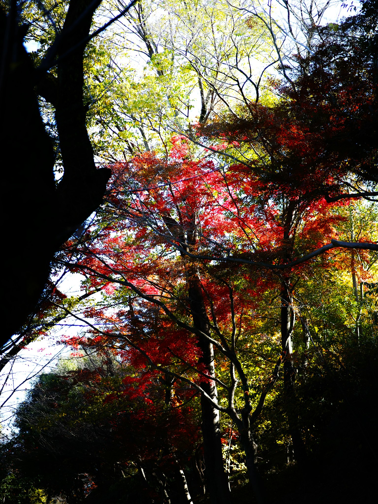 photo-taQeoOVX8GeRLMGJXCEf-image