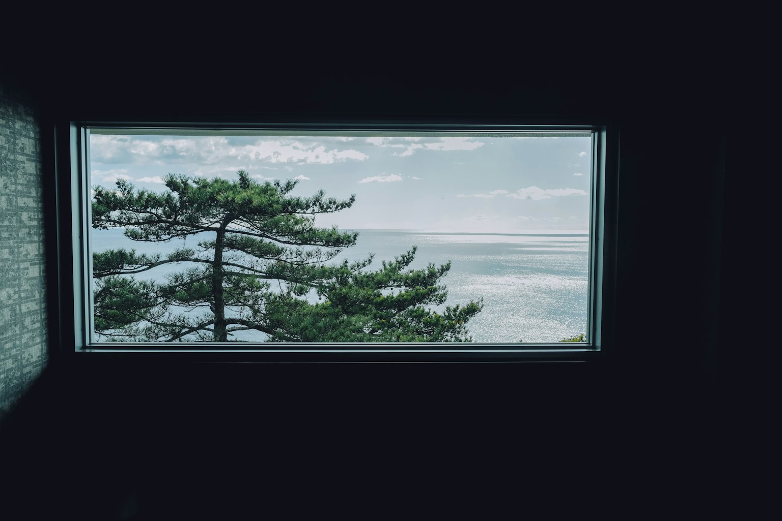 Vue de la mer et d'un pin depuis une fenêtre
