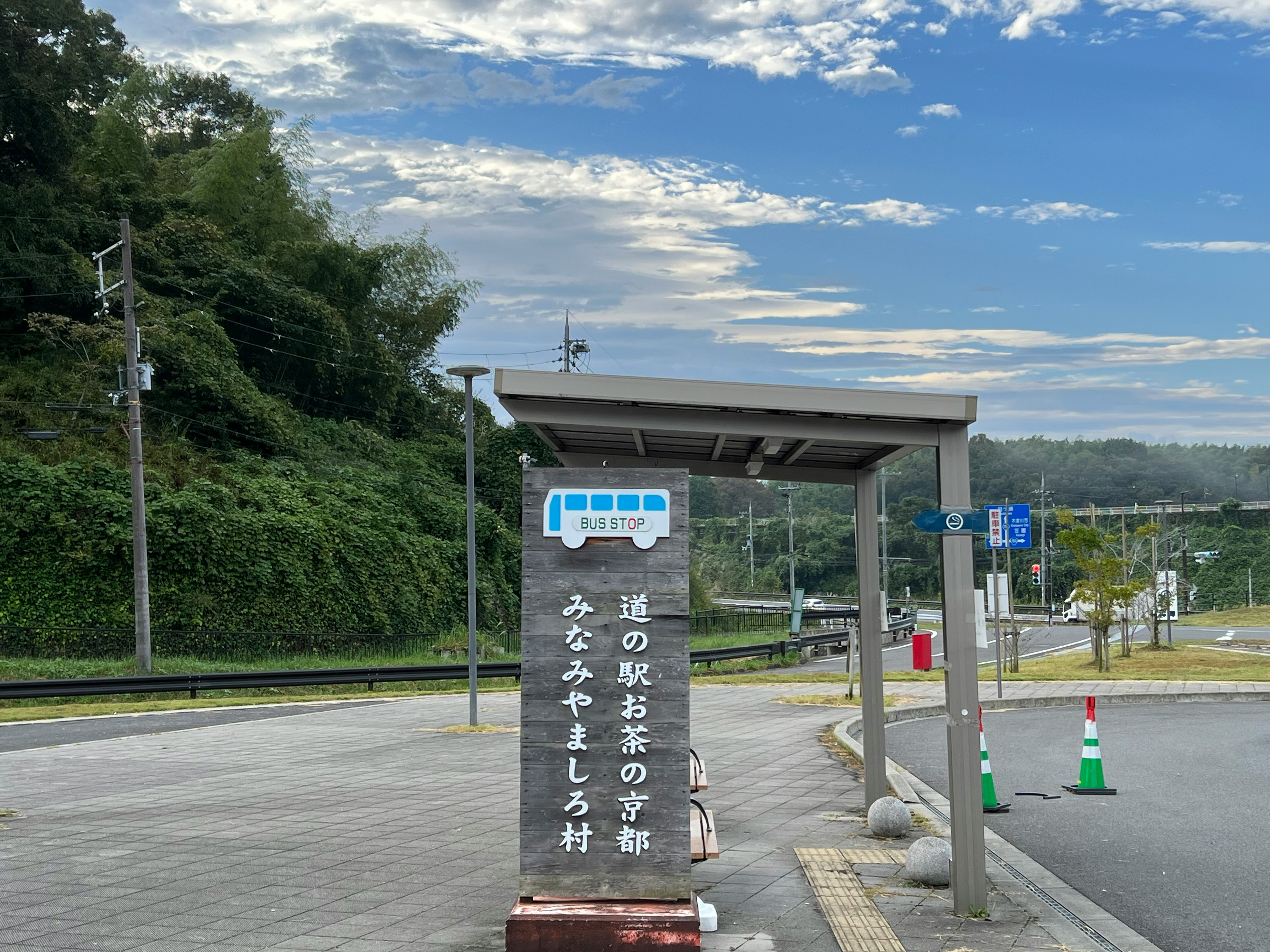 Suburban road scene with a bus stop sign and greenery
