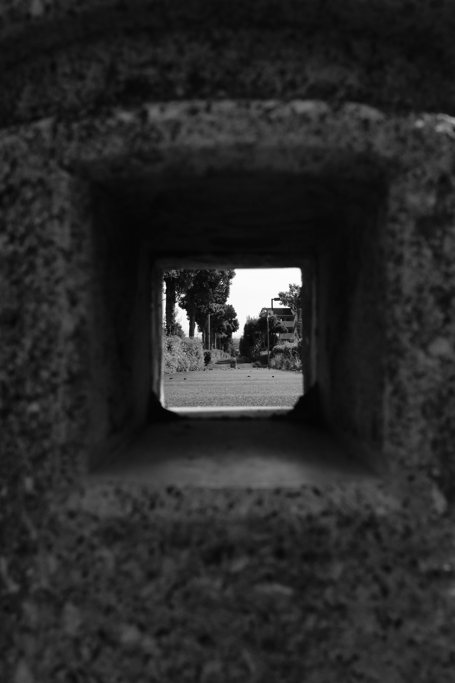 photo-tbefJlBWzPjNhHXpLmMr-image