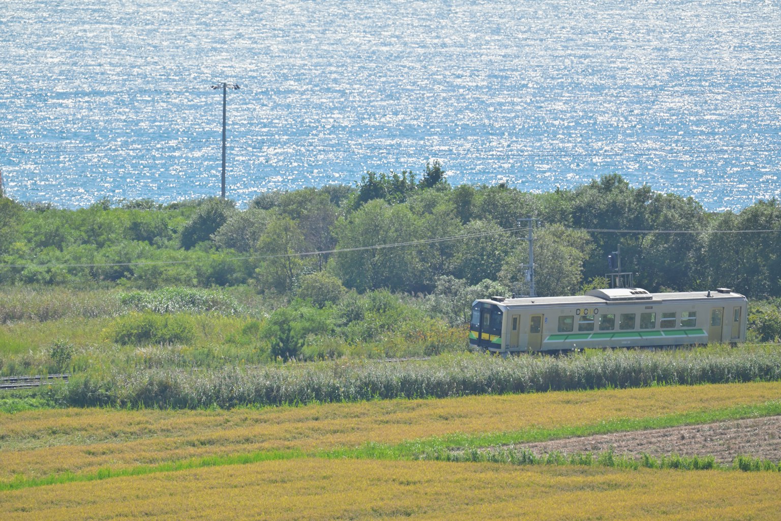 海の近くを走る列車と緑豊かな風景