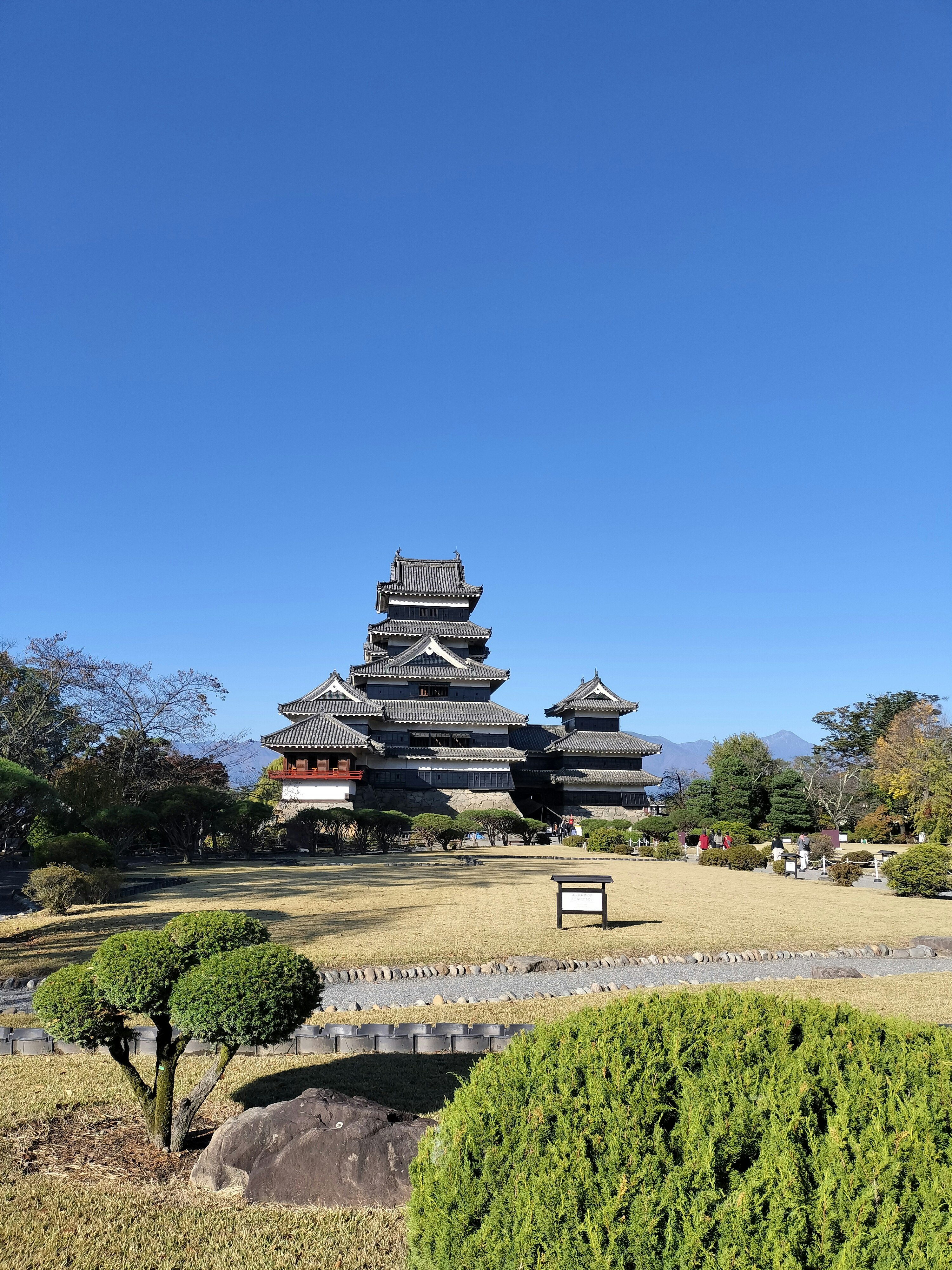 青空の下の松本城と庭園の景色