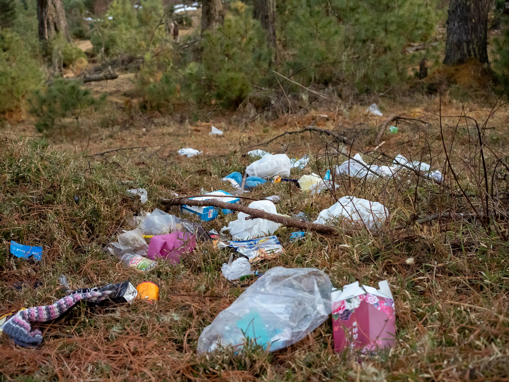 Trash scattered across grass and plastic bottles