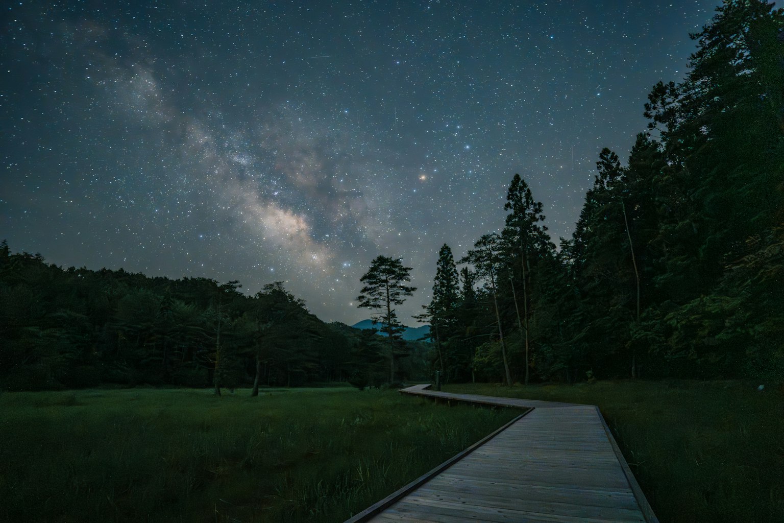 ทางเดินไม้ที่สวยงามผ่านป่าใต้ท้องฟ้าที่เต็มไปด้วยดาว