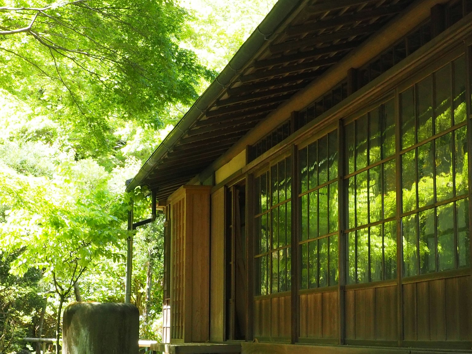 Außenansicht eines traditionellen japanischen Holzhauses umgeben von hellgrünen Bäumen