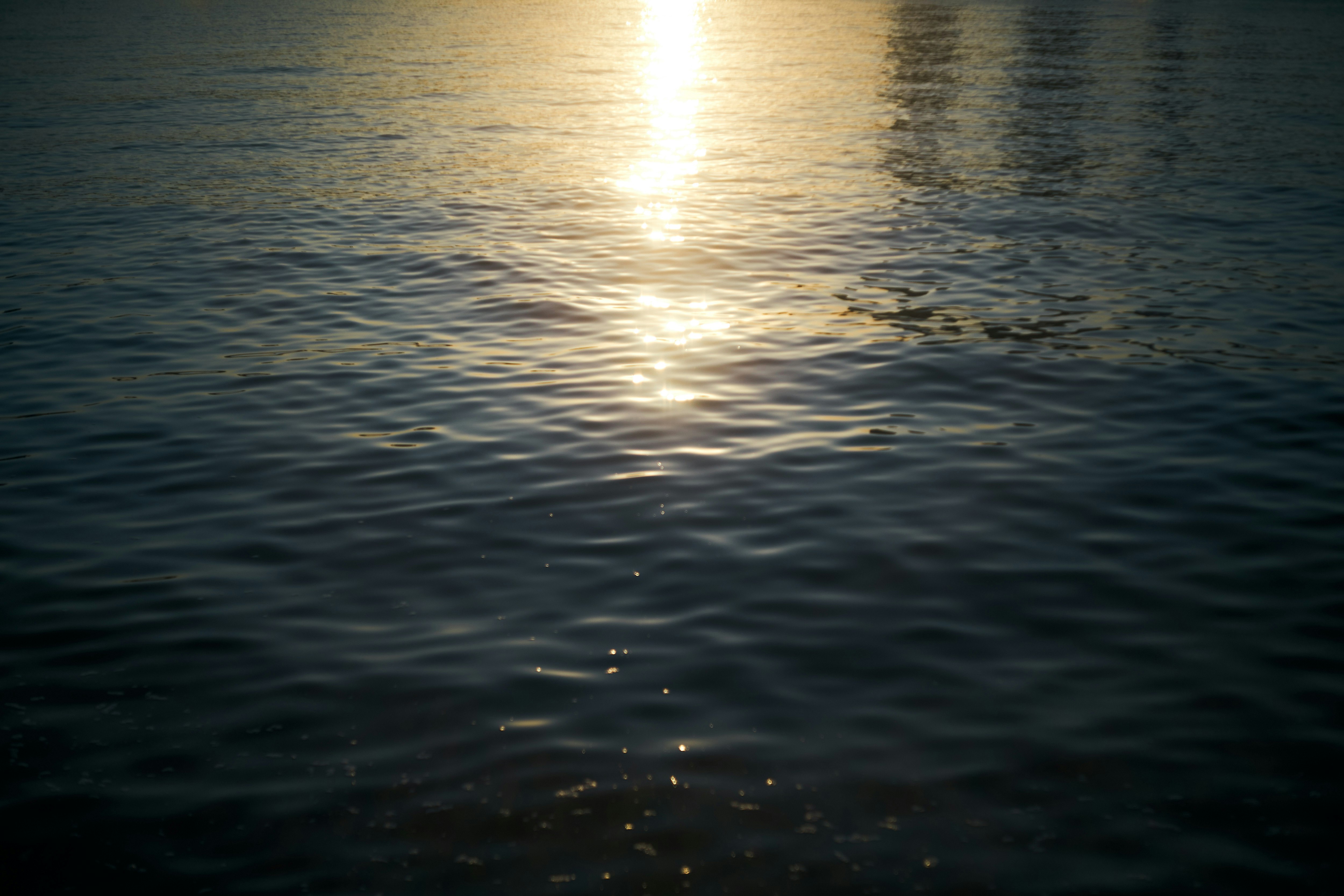 水面に反射する夕日の光
