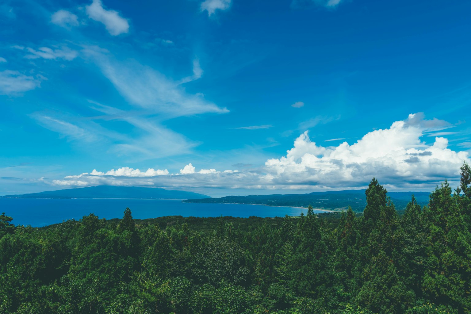 A view of blue sky and white clouds over the sea with green trees in the foreground