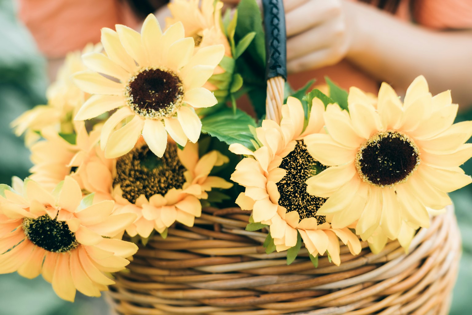 A basket filled with vibrant yellow sunflowers featuring green leaves