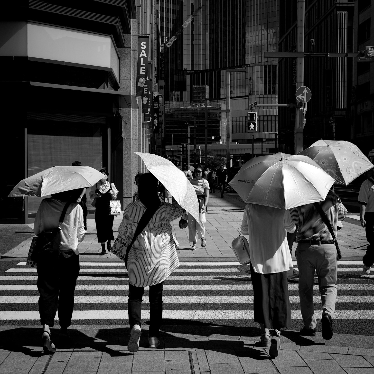 Personas con paraguas cruzando una calle en un entorno urbano en blanco y negro