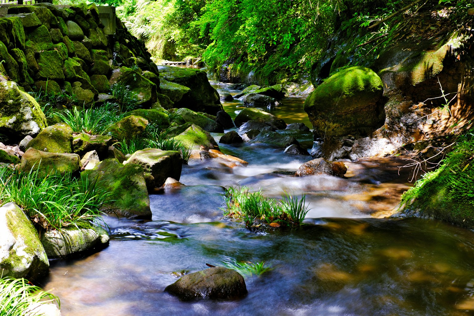 Scenic view of a stream surrounded by greenery with rocks and grass scattered along the banks