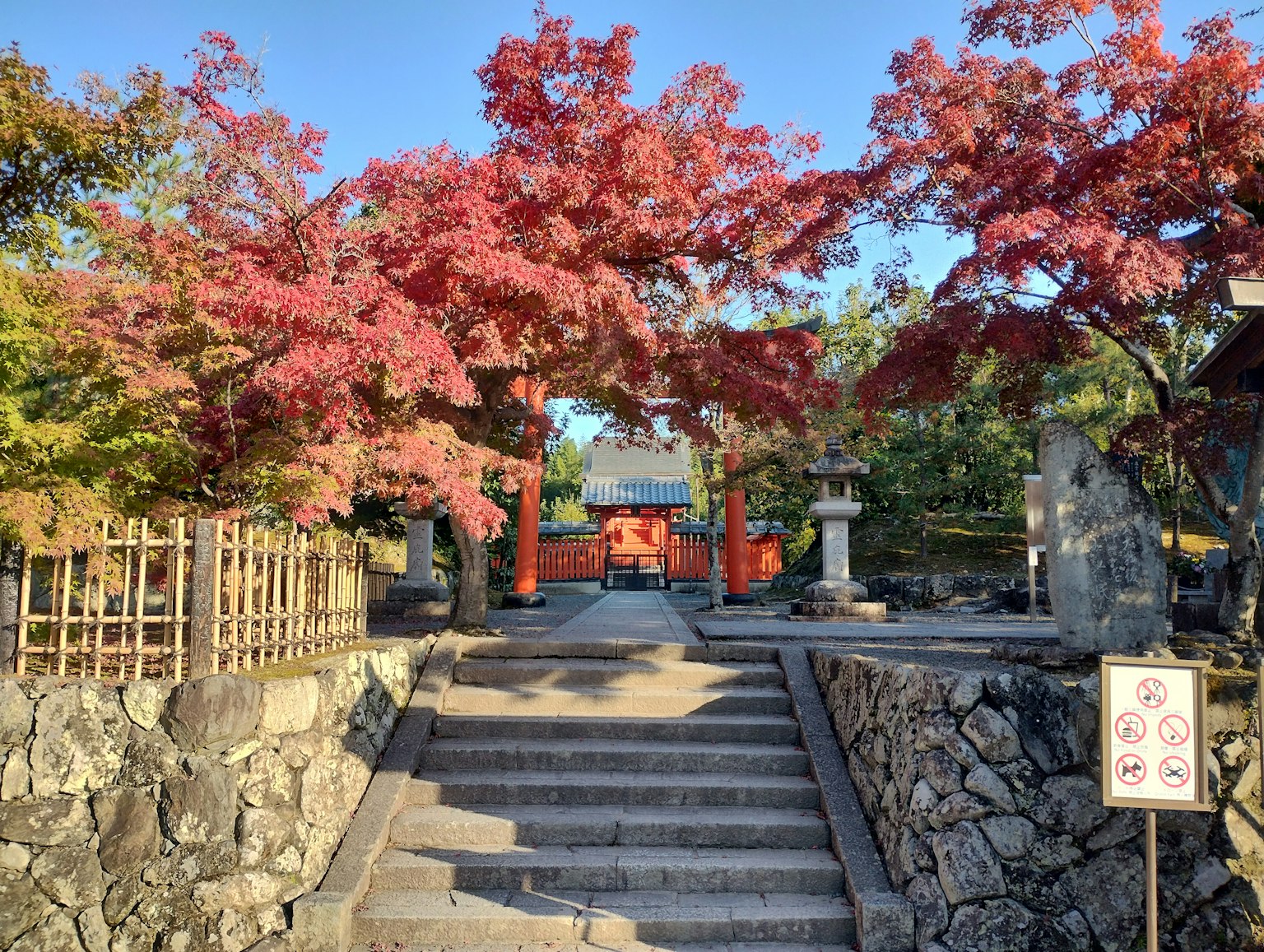 秋葉環繞的神社入口風景