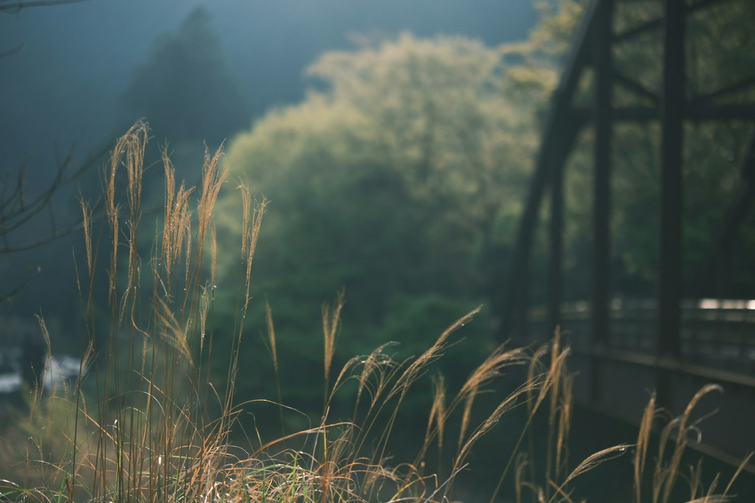 Ruhige Szene mit Gras in der Nähe eines Flusses und einer Brücke
