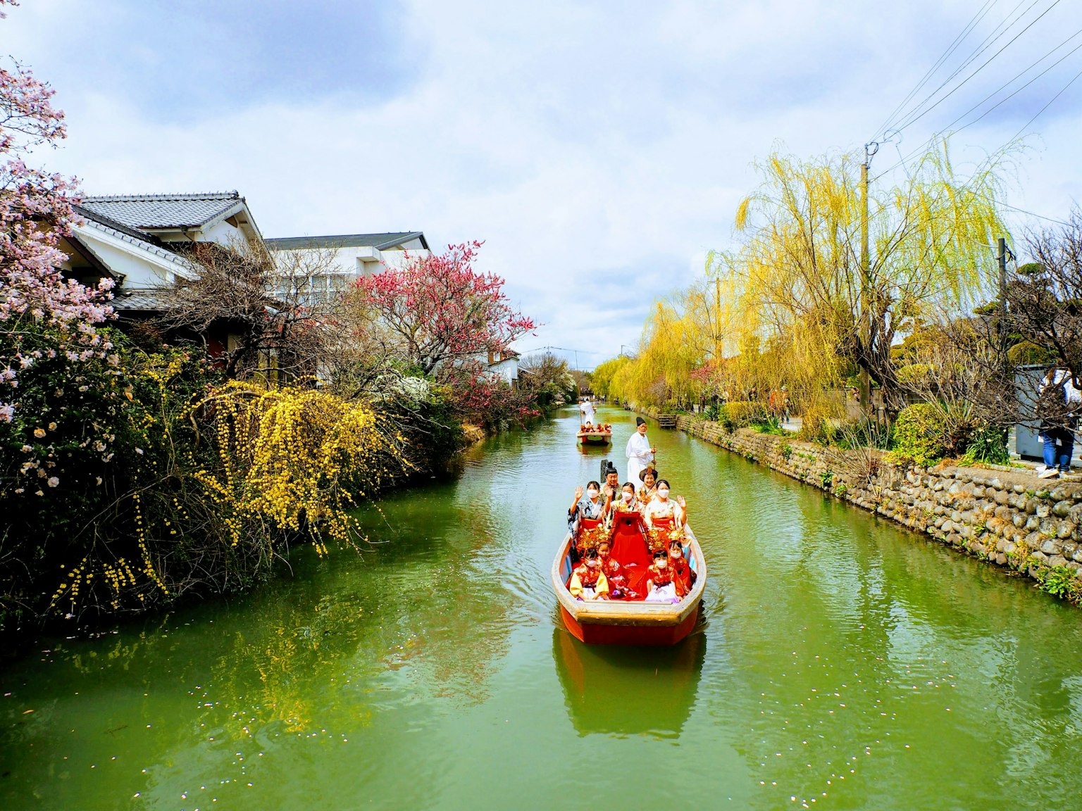 Barca tradizionale che naviga su un canale verde circondato da ciliegi in fiore