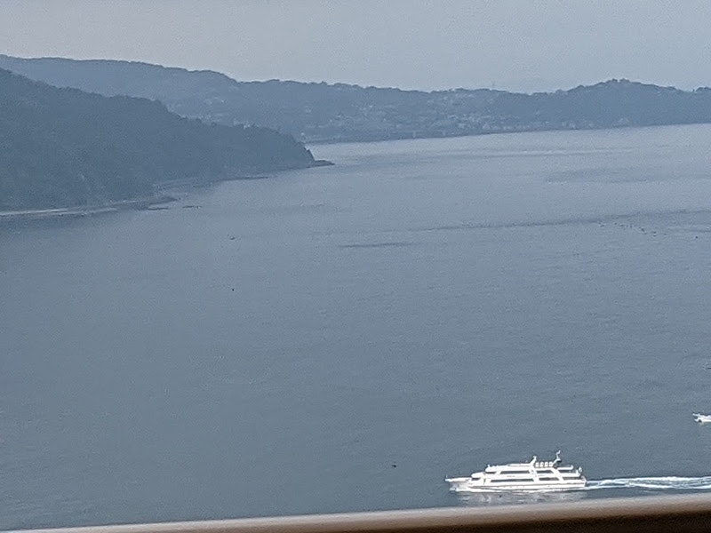 湾岸を行く大型客船と広がる海の風景