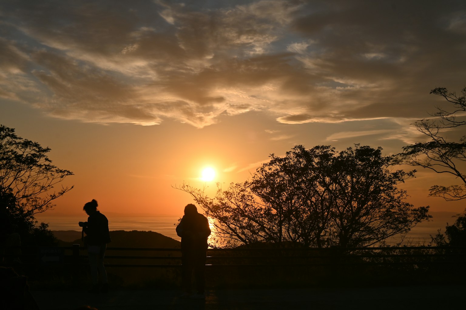 Silhouettes de personnes au coucher de soleil avec des arbres