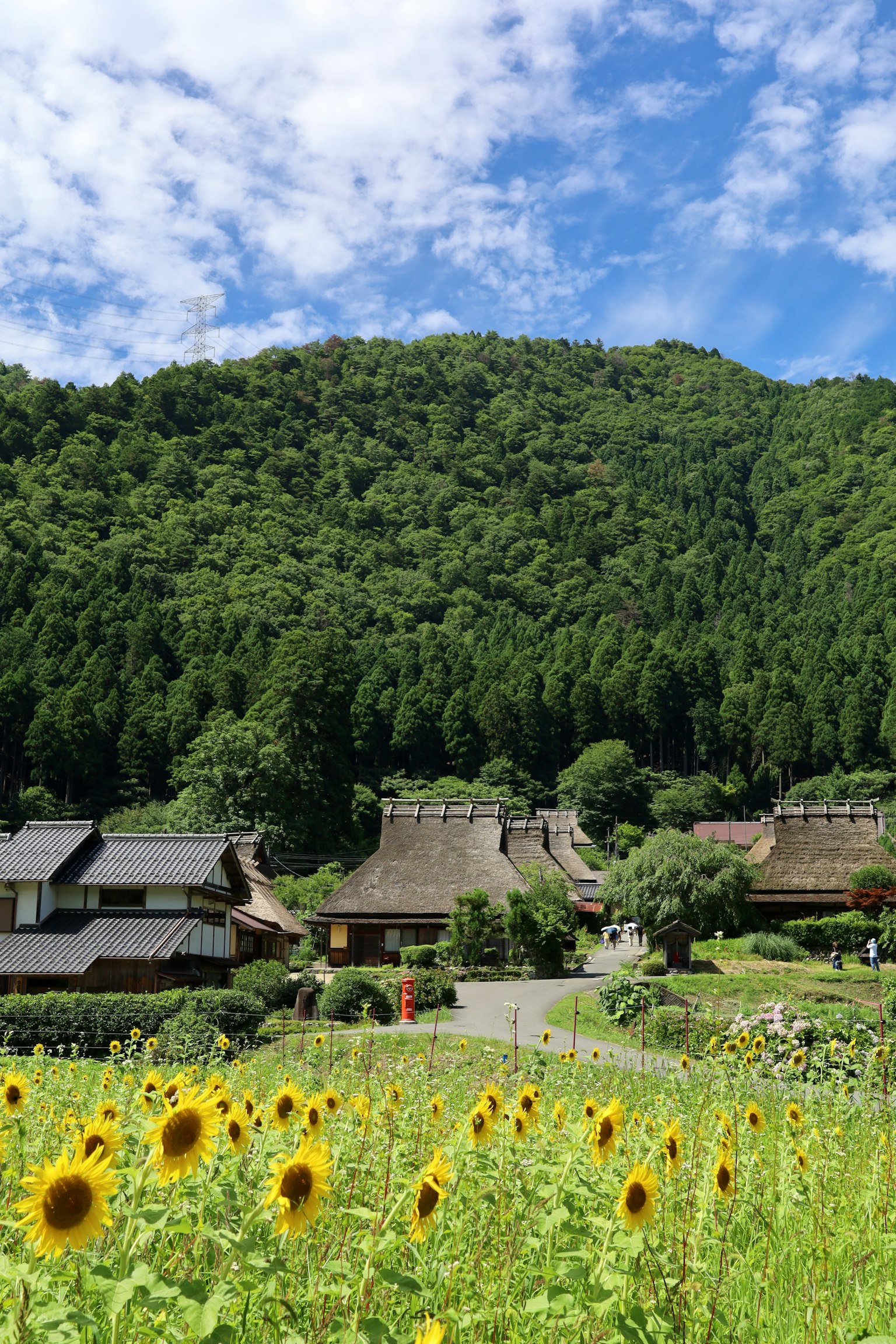 Un paesaggio bellissimo con un campo di girasoli e case tradizionali con montagne verdi e cielo azzurro