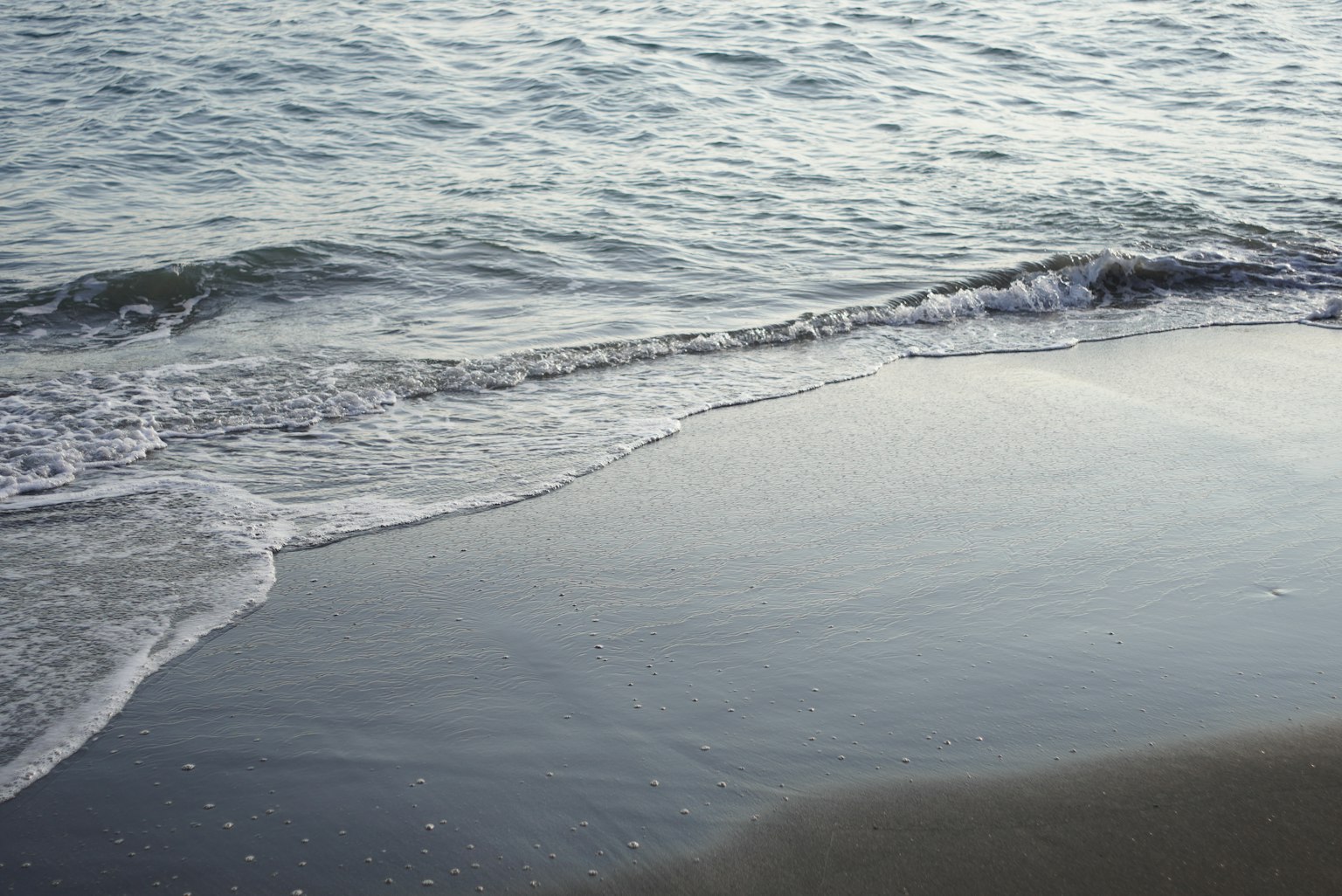 Vagues calmes s'écrasant sur une plage de sable