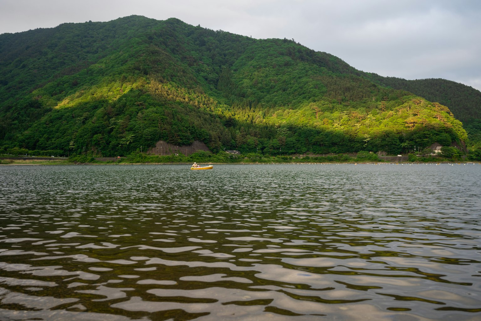Serene lake view with lush green hills and reflections on the water