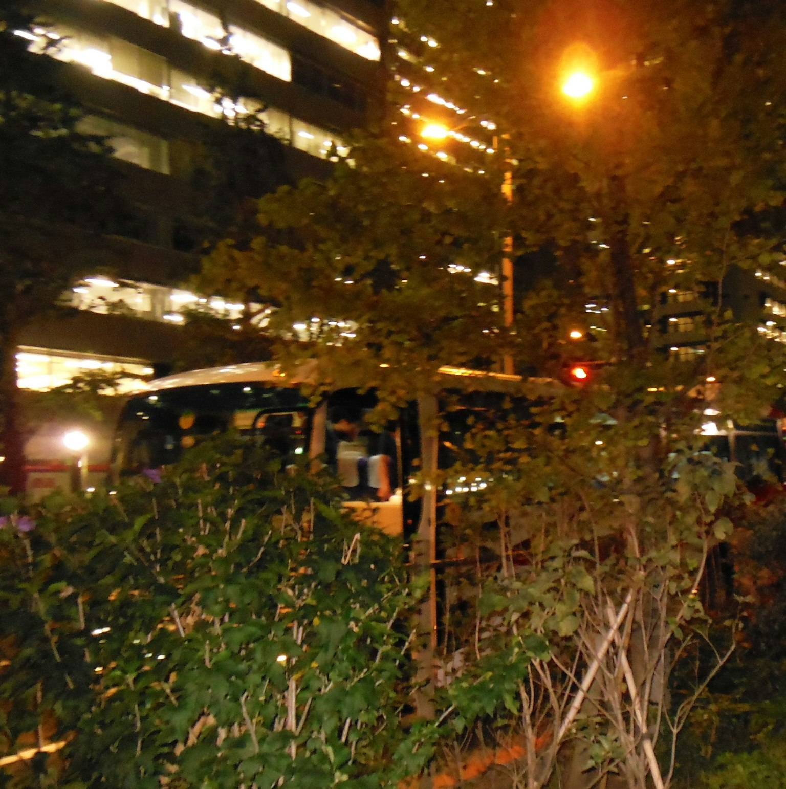 夜晚城市中的公車被建築和樹葉環繞