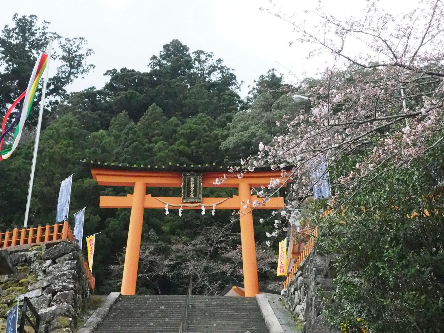 Gerbang torii oranye dengan bunga sakura di area pegunungan