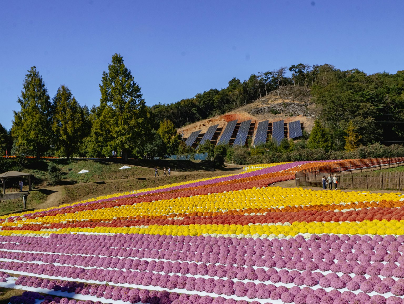 Colorful spheres arranged in a landscape with solar panels on a hill
