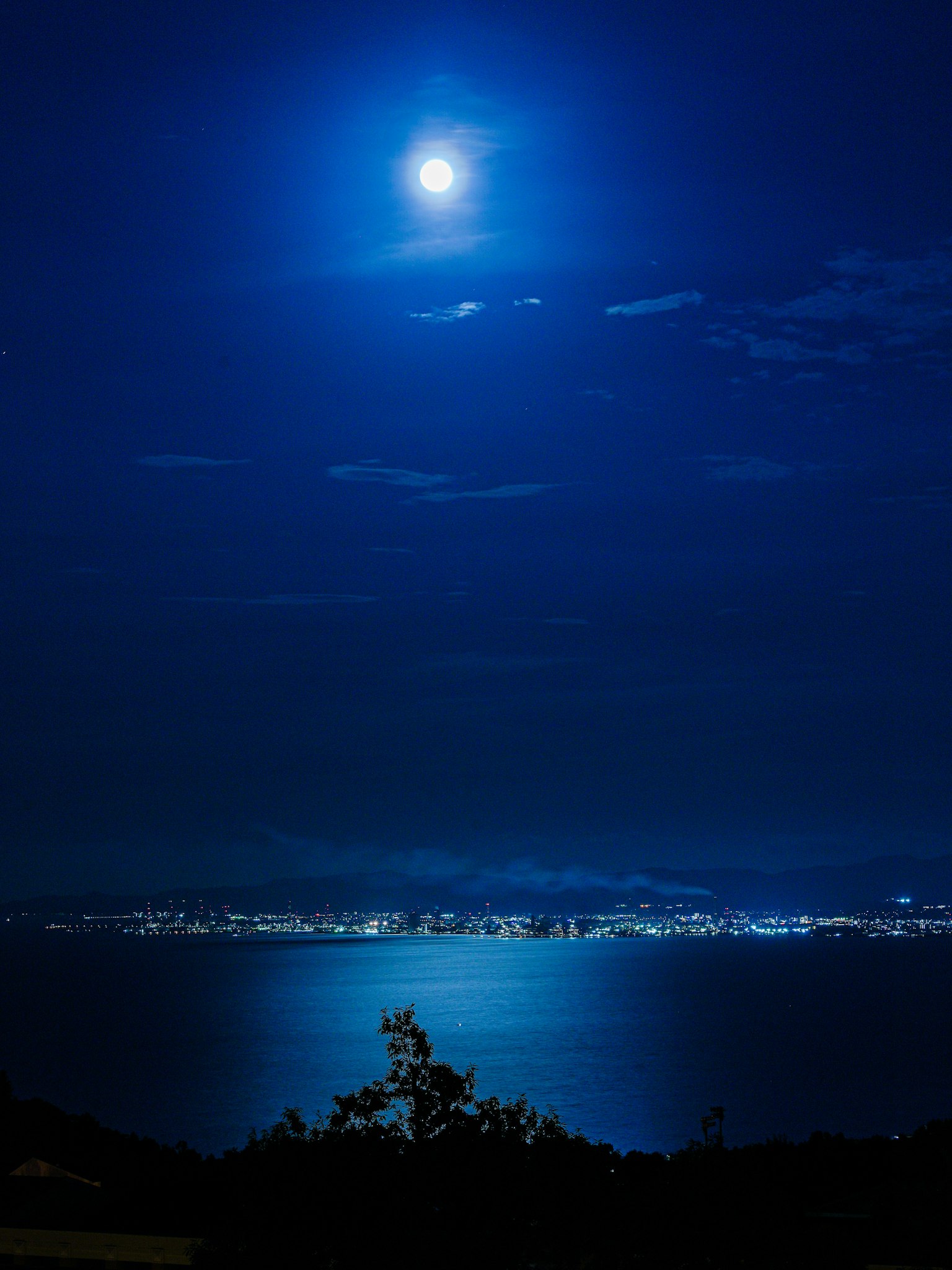 photo-tiRWulv36YkkCmvxoUMC-image