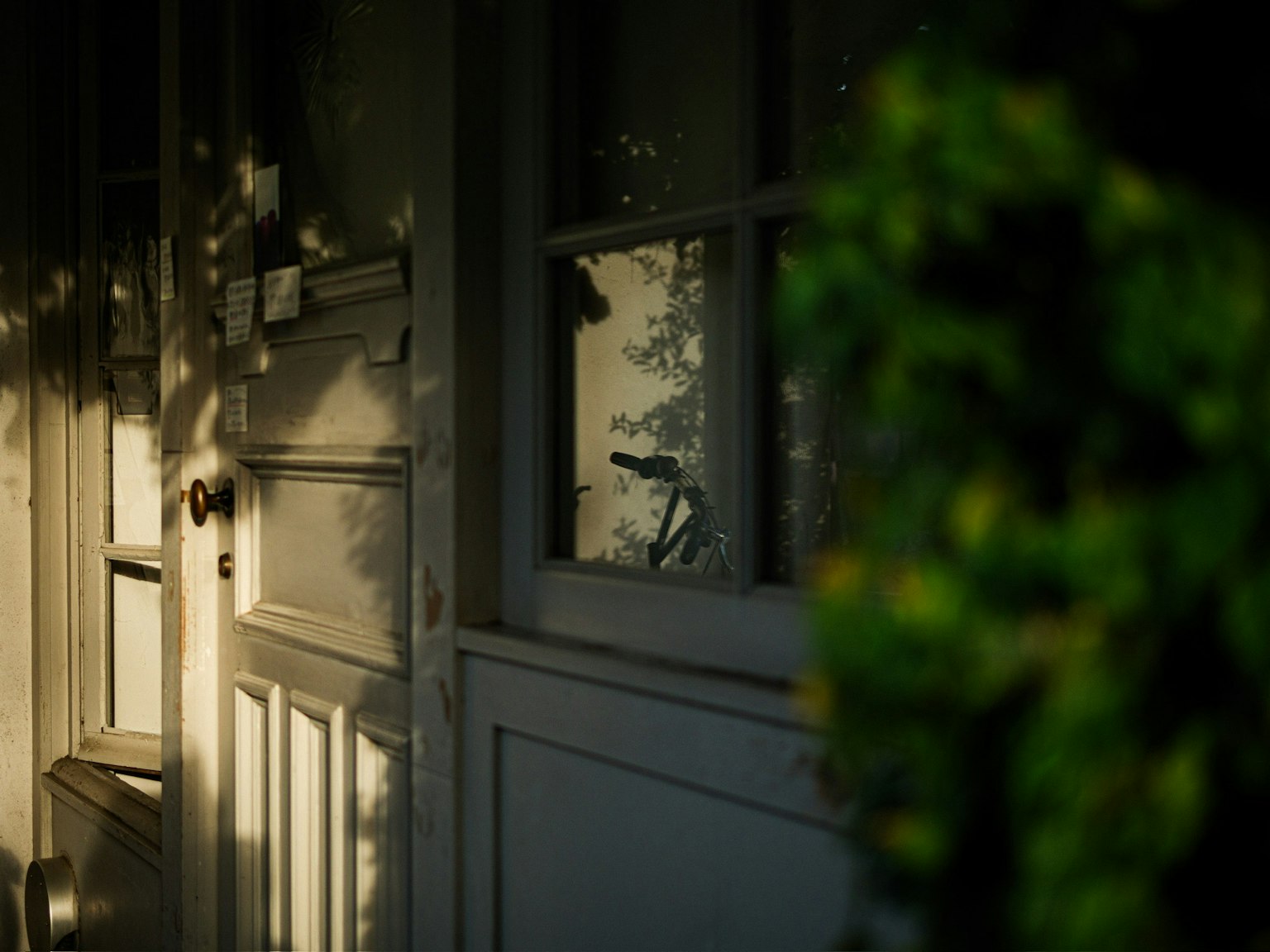 Primo piano di una porta con ombre e fogliame verde