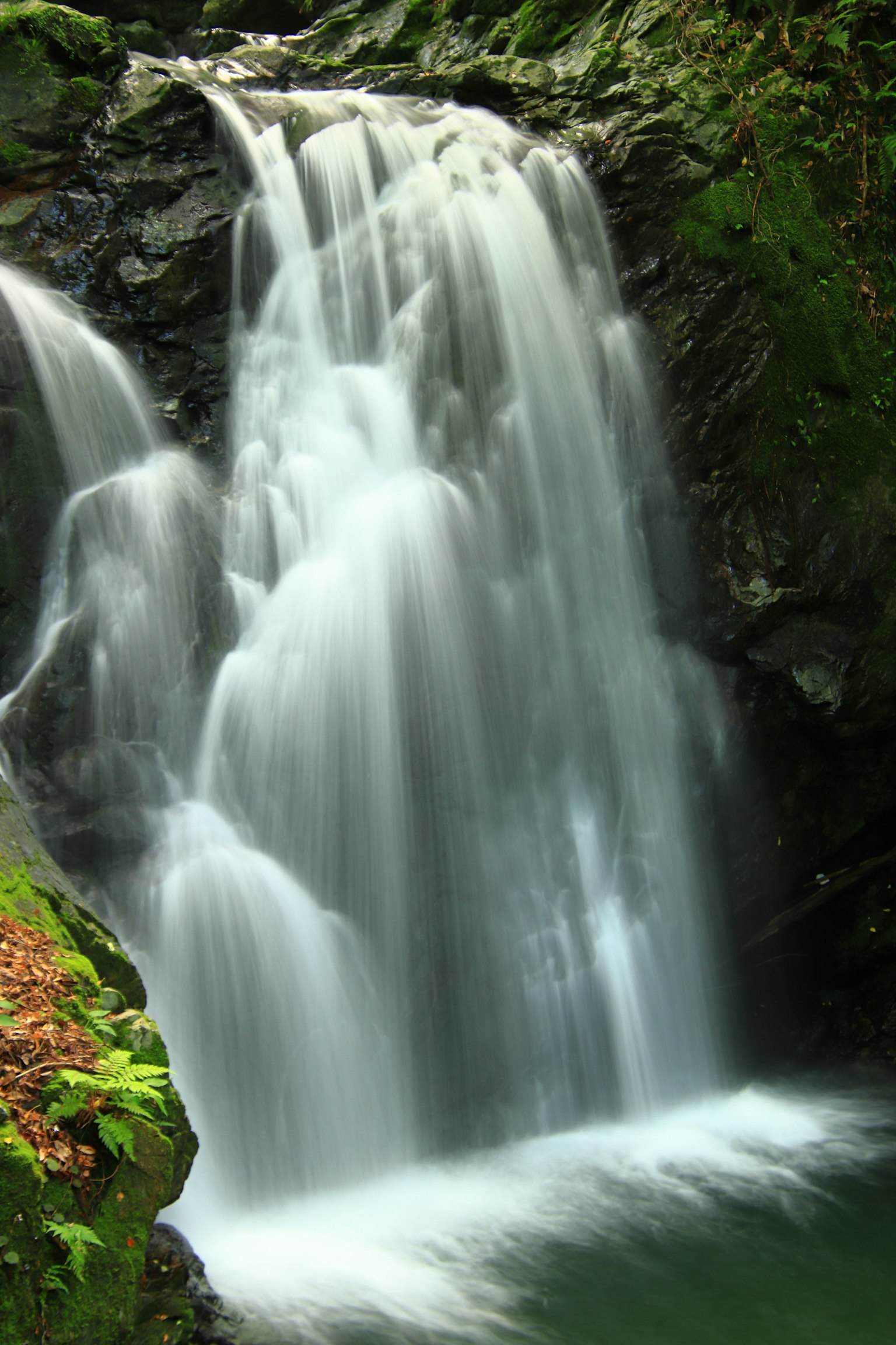A beautiful waterfall cascading through rocks in a lush green setting