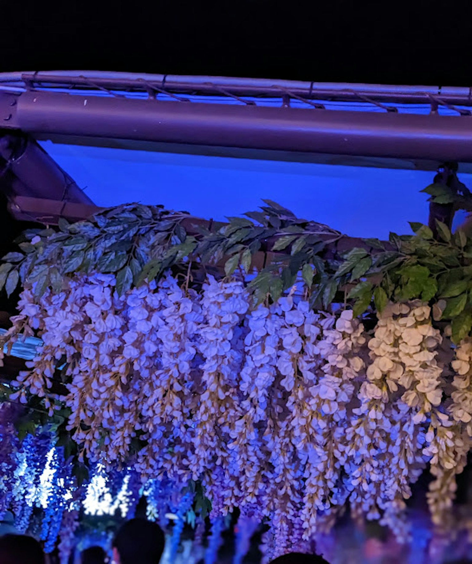 การจัดเรียงตกแต่งของดอกไม้สีขาวและใบสีเขียวที่แขวนอยู่ใต้แสงสีน้ำเงิน